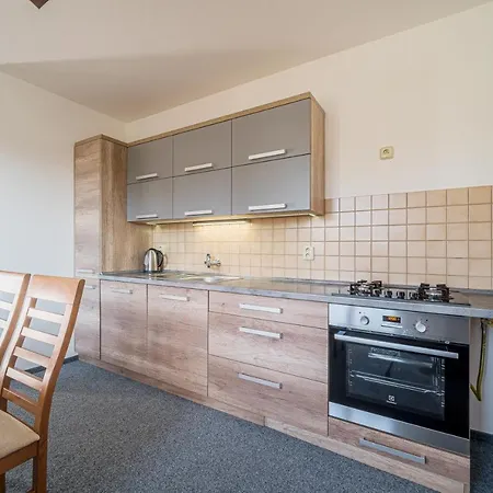 Holiday home Ubytovani U Janecku Cerny Dul